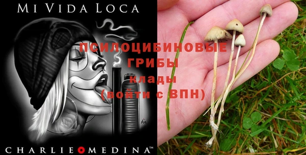метамфетамин Елабуга