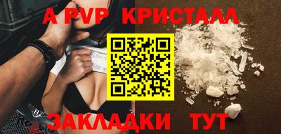 крисы Кингисепп