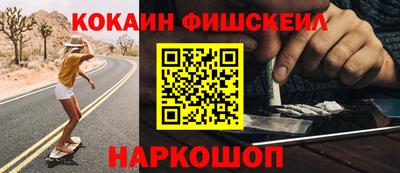 крисы Кингисепп