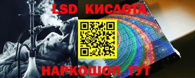 крисы Кингисепп