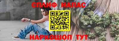 крисы Кингисепп