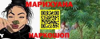 крисы Кингисепп