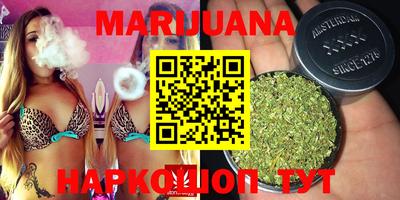 сатива Кимры