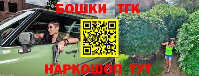 крисы Кингисепп