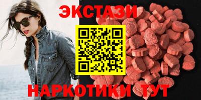 крисы Кингисепп