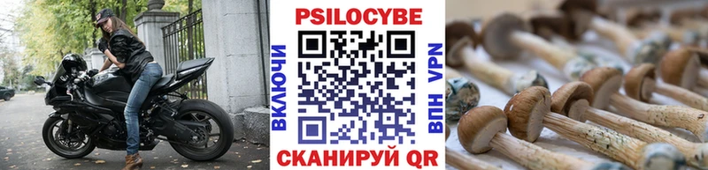 Псилоцибиновые грибы Magic Shrooms  Свободный 
