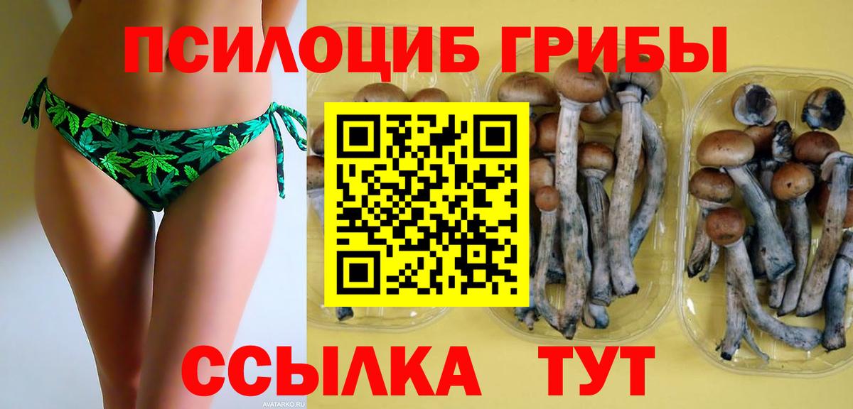 Свободный  Галлюциногенные грибы мухоморы  Вход с VPN  Псилоцибиновые грибы Cubensis 